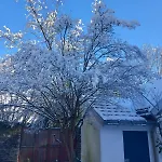 Bienvenue Dans Ce Lägenhet *