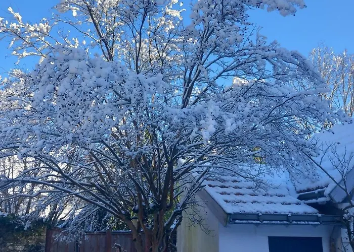 Bienvenue Dans Ce 公寓 *